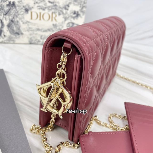 디올레이디백까나쥬레드