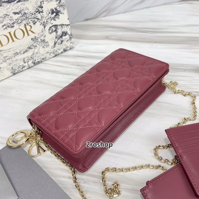 디올레이디백까나쥬레드