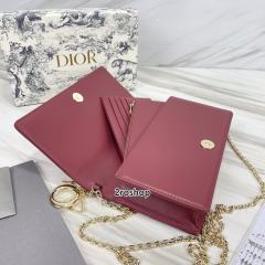 디올레이디백까나쥬레드