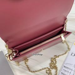 디올레이디백까나쥬레드