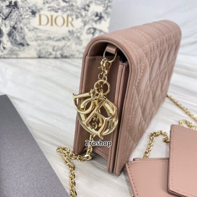 디올레이디백까나쥬핑크