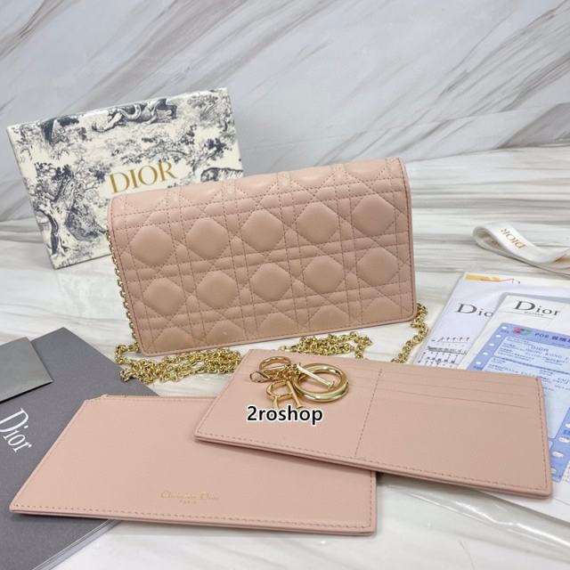 디올레이디백까나쥬베이지