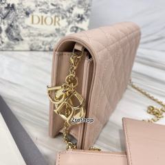 디올레이디백까나쥬베이지