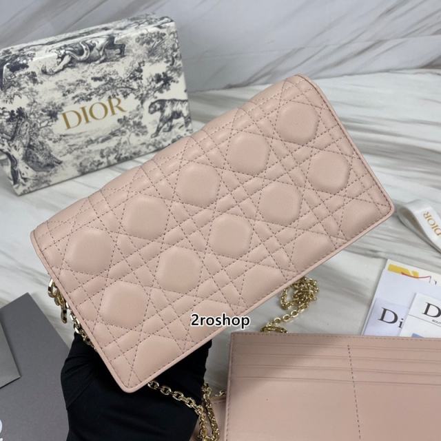 디올레이디백까나쥬베이지