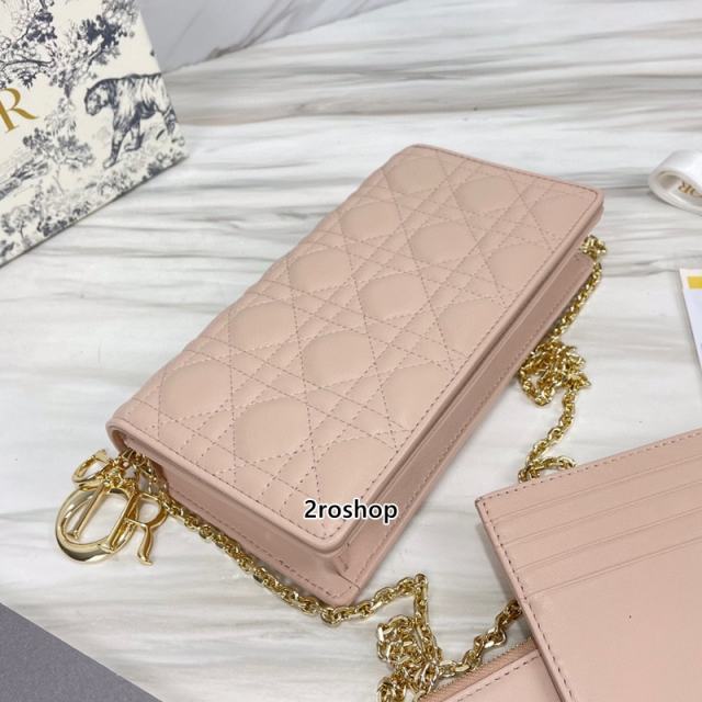 디올레이디백까나쥬베이지