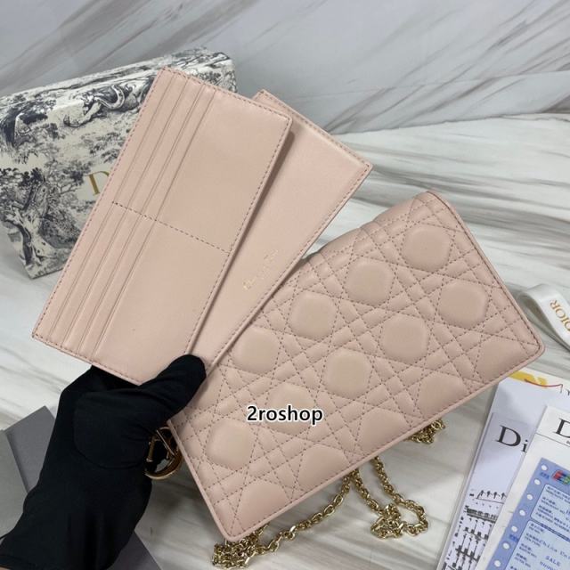 디올레이디백까나쥬베이지