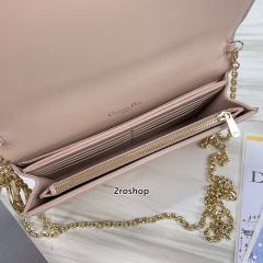 디올레이디백까나쥬베이지