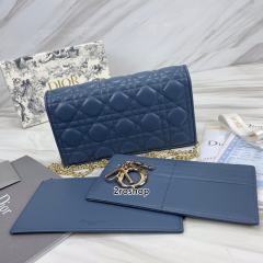 디올레이디백까나쥬블루