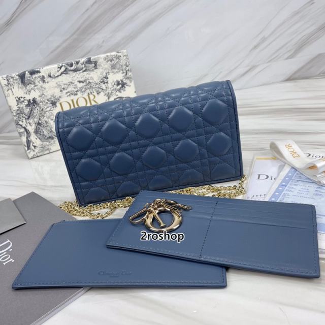 디올레이디백까나쥬블루