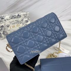 디올레이디백까나쥬블루