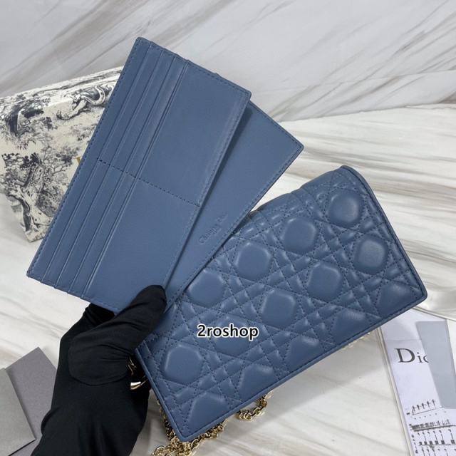 디올레이디백까나쥬블루