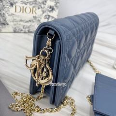 디올레이디백까나쥬블루