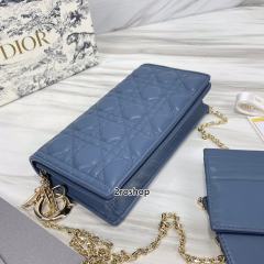 디올레이디백까나쥬블루