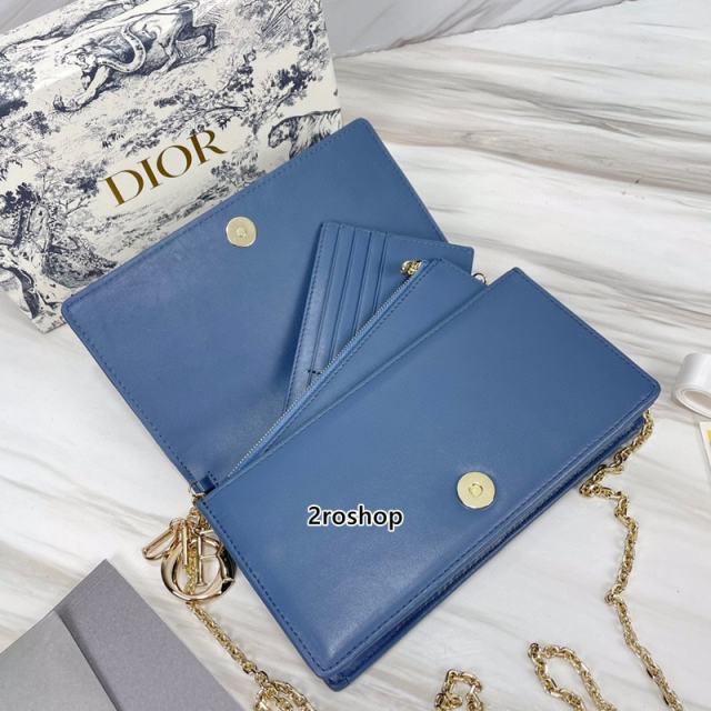 디올레이디백까나쥬블루