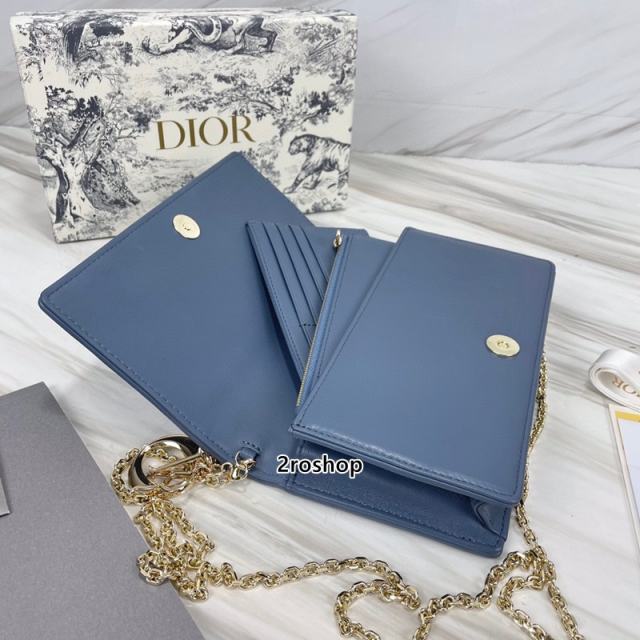 디올레이디백까나쥬블루