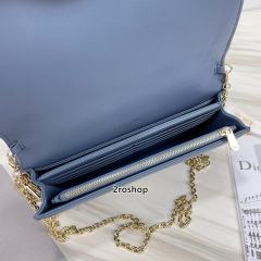 디올레이디백까나쥬블루