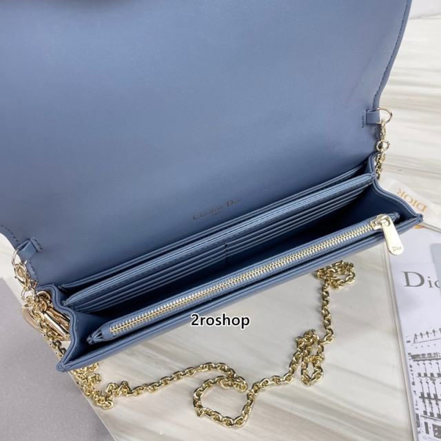 디올레이디백까나쥬블루