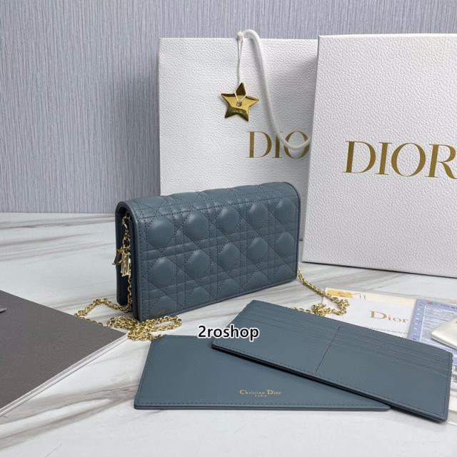 디올레이디백까나쥬클라우드블루