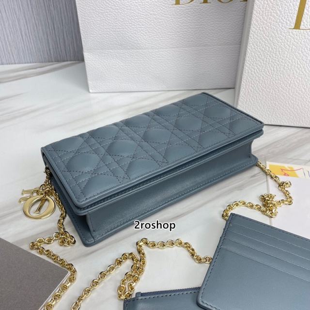 디올레이디백까나쥬클라우드블루