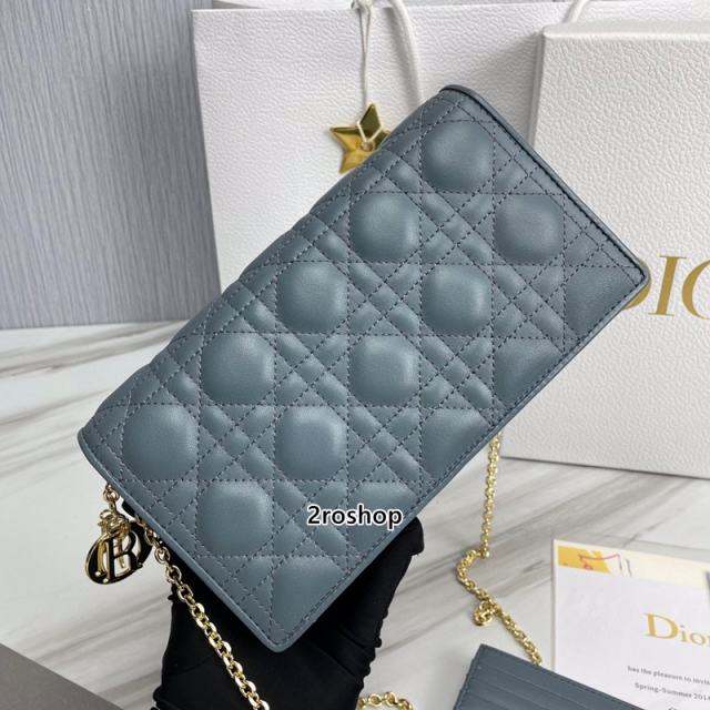 디올레이디백까나쥬클라우드블루