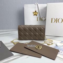 디올레이디백까나쥬