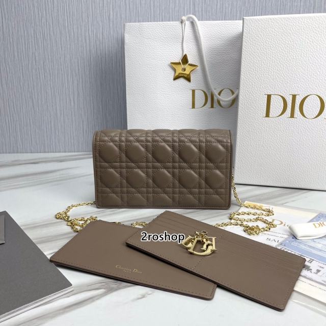 디올레이디백까나쥬