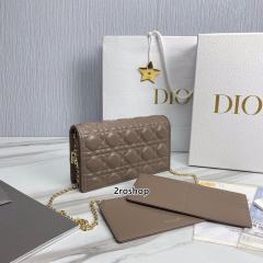 디올레이디백까나쥬