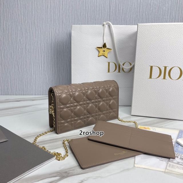 디올레이디백까나쥬