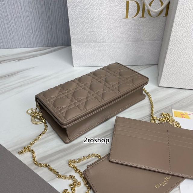 디올레이디백까나쥬