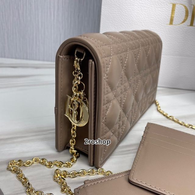 디올레이디백까나쥬