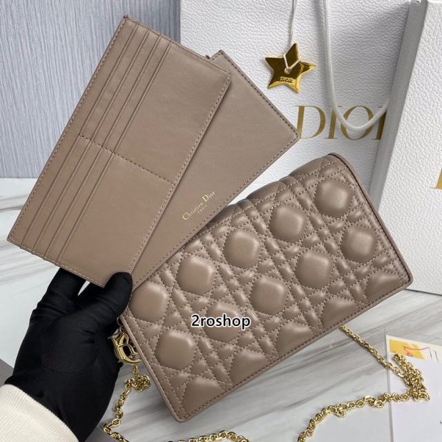 디올레이디백까나쥬