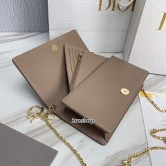 디올레이디백까나쥬