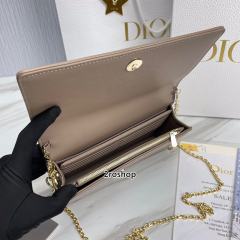 디올레이디백까나쥬