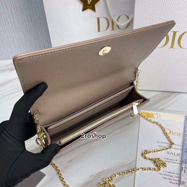 디올레이디백까나쥬