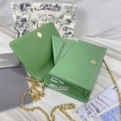 디올레이디백까나쥬페이턴트그린