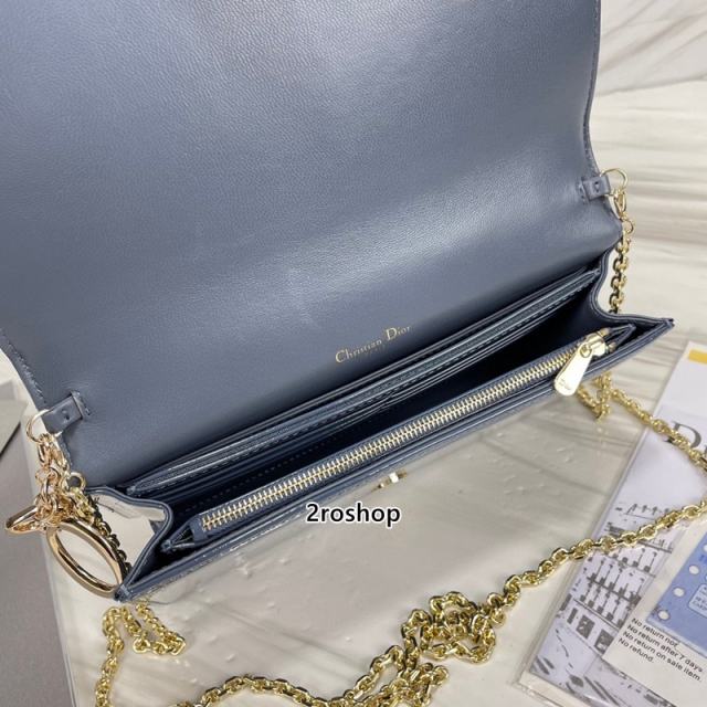 디올레이디백까나쥬페이턴트블루