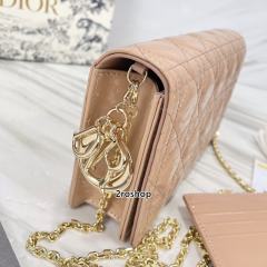 디올레이디백까나쥬페이턴트