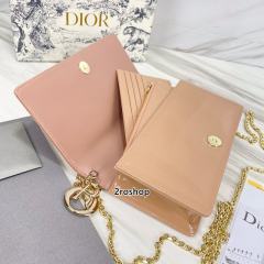 디올레이디백까나쥬페이턴트