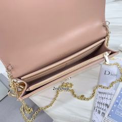 디올레이디백까나쥬페이턴트