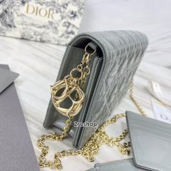 디올레이디백까나쥬페이턴트