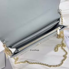 디올레이디백까나쥬페이턴트