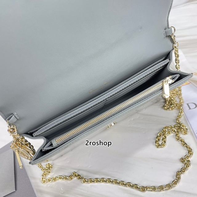 디올레이디백까나쥬페이턴트