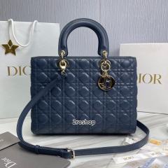 디올레이디백라지블루