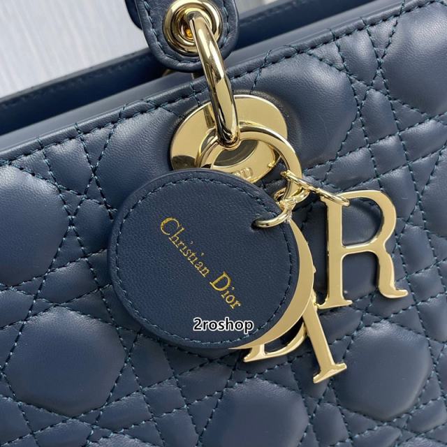 디올레이디백라지블루