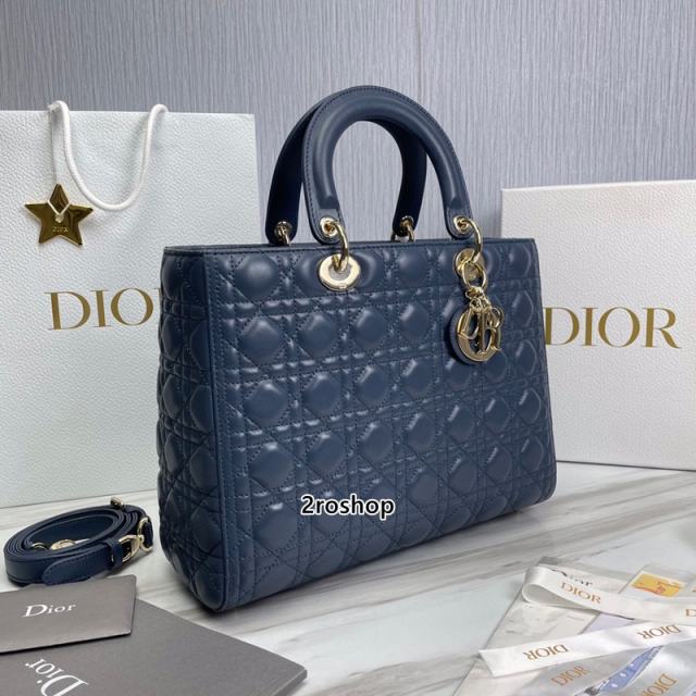 디올레이디백라지블루