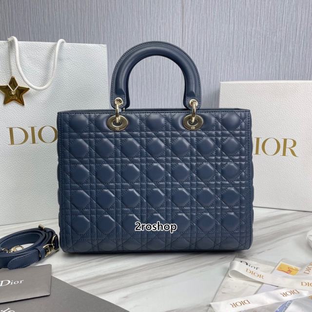 디올레이디백라지블루