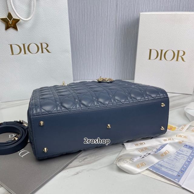 디올레이디백라지블루