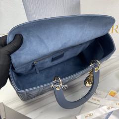 디올레이디백라지블루