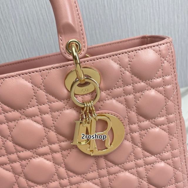 디올레이디백라지핑크