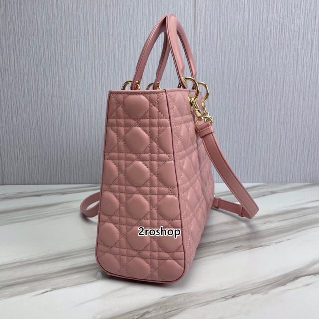 디올레이디백라지핑크